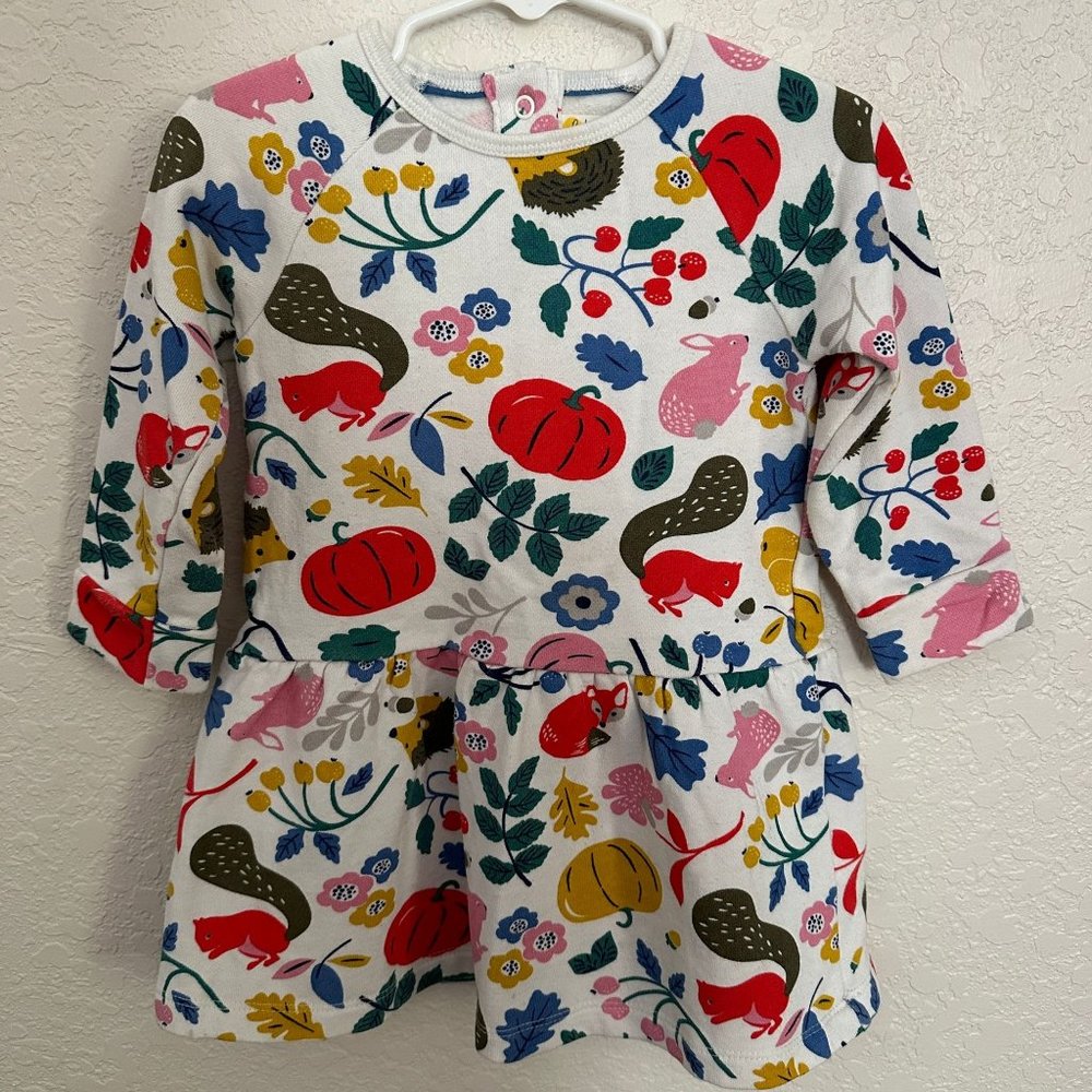 Baby Boden Fall Autumn Dress